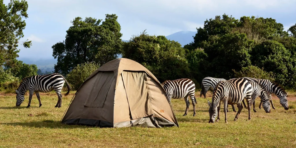 6 days tanzania camping safari