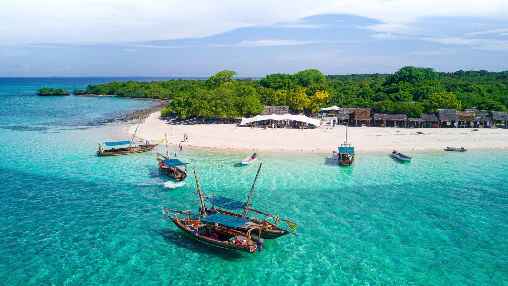 Colorful fish swim amidst the vibrant coral formations of Zanzibar's coral reef, teeming with marine life.