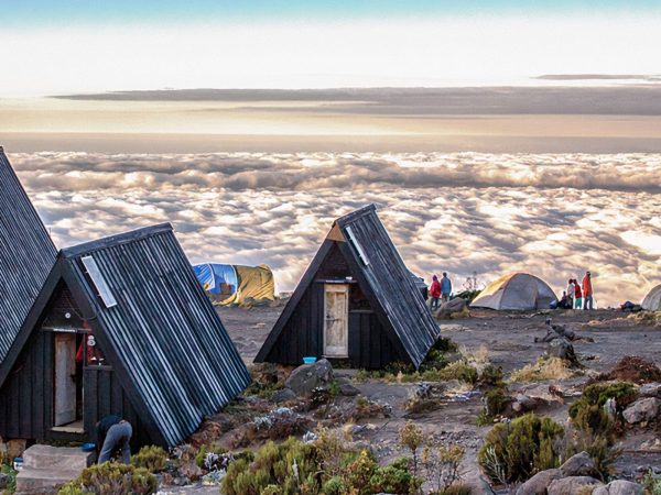 Summit Your Dreams: 6 Days on Kilimanjaro’s Marangu Route to summit your dreams! Experience the thrill of hiking Africa's highest peak with our expert guides.