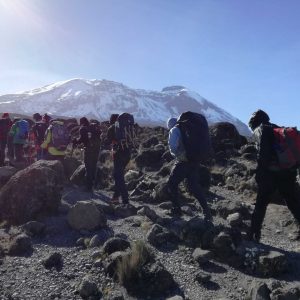 A group of hikers, including porters and guides, making their way up the winding mountain trail on 9 Days Conquer Kilimanjaro Hike via the Northern Circuit Route, with the snow-capped peak looming in the background."