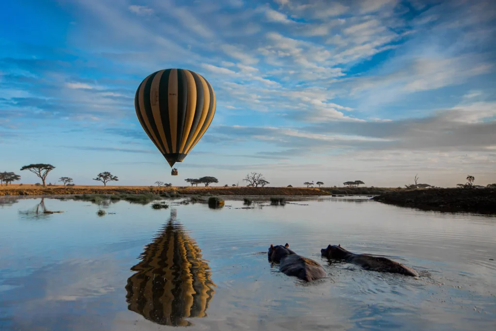 Hot air balloon flying over a group of hippos in a river in Tanzania.