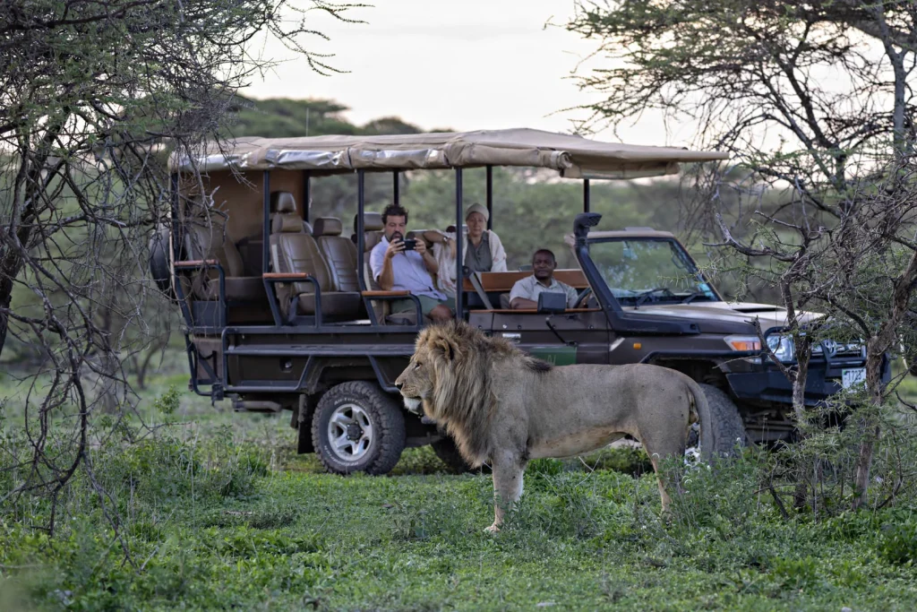 Embark on an unforgettable adventure with our 5 Days Affordable Budget Camping Safari Adventures in Africa. Immerse yourself in wildlife, nature, and culture without breaking the bank.