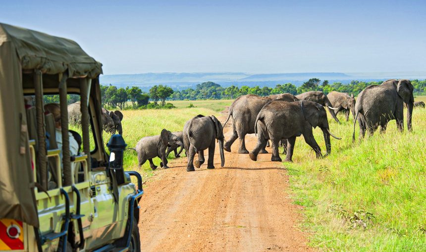 8 Days Epic Serengeti Migration Safari