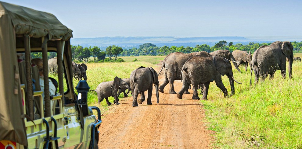 8 Days Epic Serengeti Migration Safari