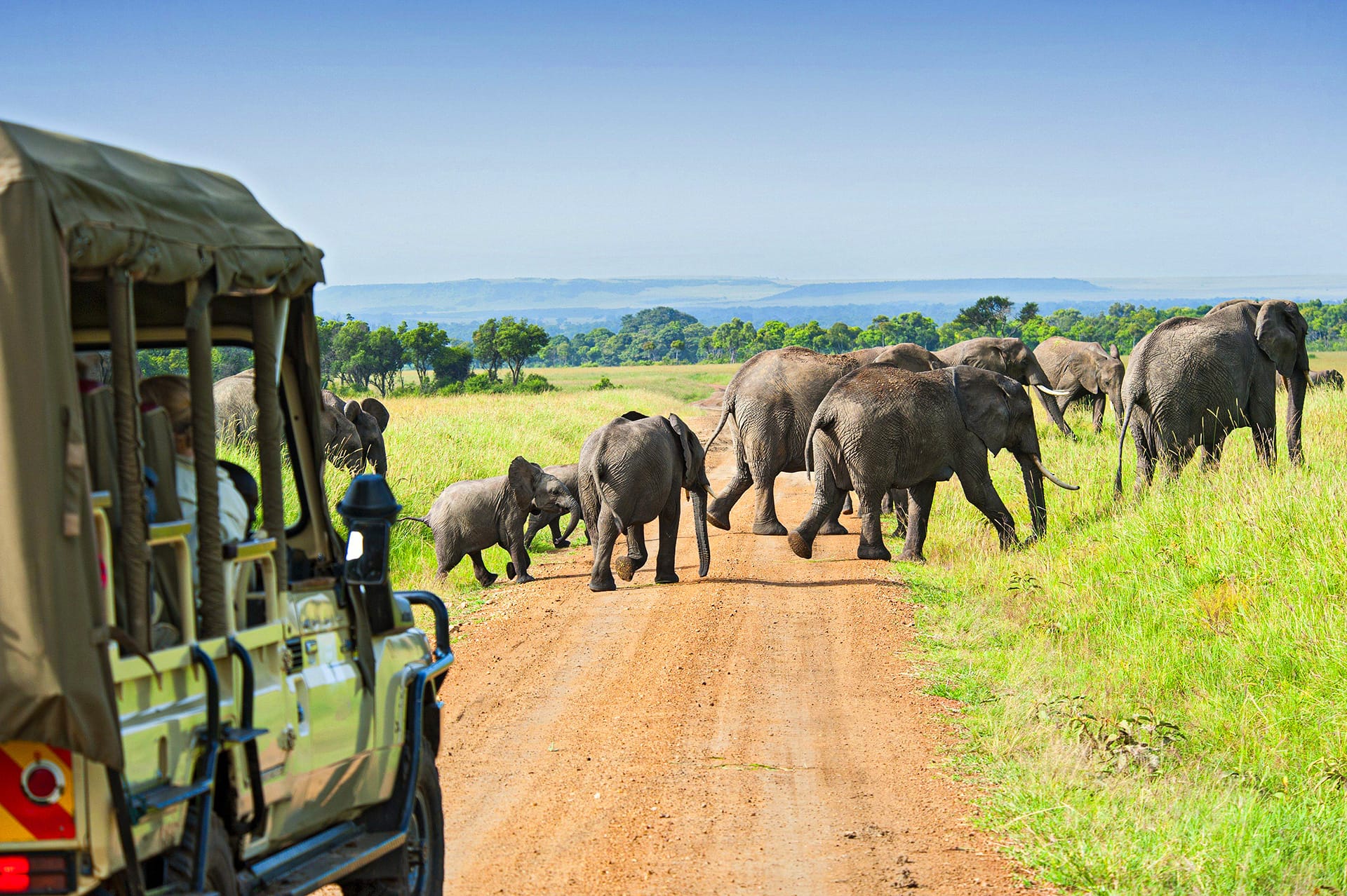 8 Days Epic Serengeti Migration Safari