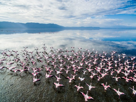 Lake Manyara National Park