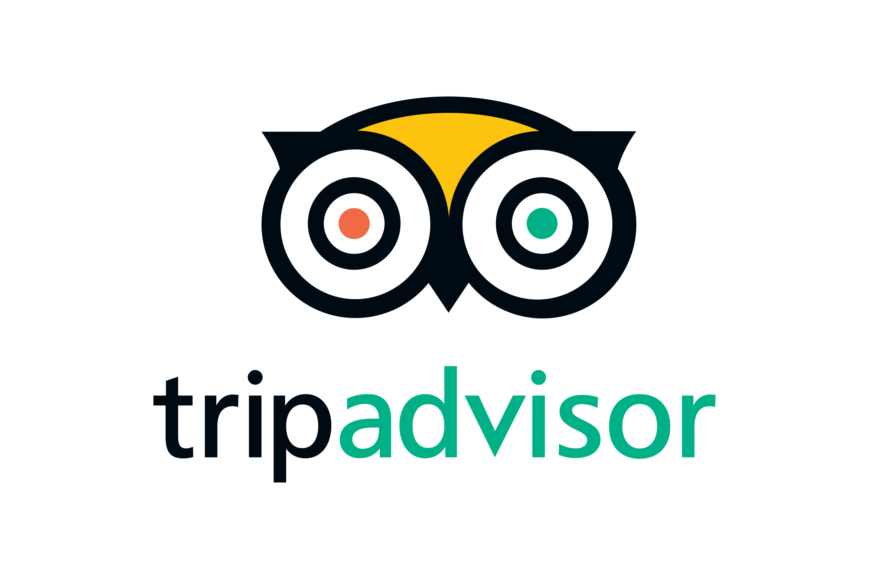 TripAdvisor Logo.wine