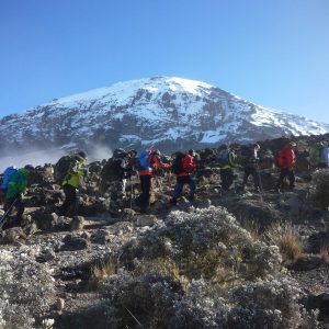 Transformative Journey: 6 Days on Kilimanjaro’s Machame Route, Group of hikers trekking on the Machame Route, surrounded by lush forests and stunning views of Mount Kilimanjaro in Tanzania.