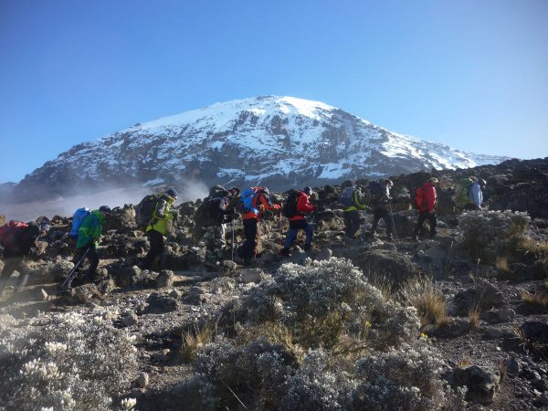 Transformative Journey: 6 Days on Kilimanjaro’s Machame Route, Group of hikers trekking on the Machame Route, surrounded by lush forests and stunning views of Mount Kilimanjaro in Tanzania.