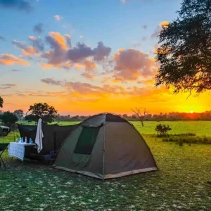 Embark on an unforgettable adventure with our 5 Days Affordable Budget Camping Safari Adventures in Africa. Immerse yourself in wildlife, nature, and culture without breaking the bank.