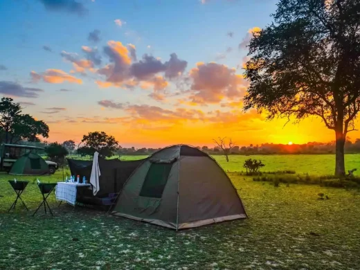 Embark on an unforgettable adventure with our 5 Days Affordable Budget Camping Safari Adventures in Africa. Immerse yourself in wildlife, nature, and culture without breaking the bank.