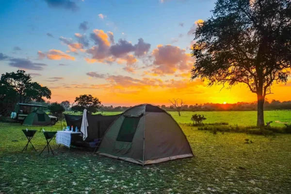 Embark on an unforgettable adventure with our 5 Days Affordable Budget Camping Safari Adventures in Africa. Immerse yourself in wildlife, nature, and culture without breaking the bank.